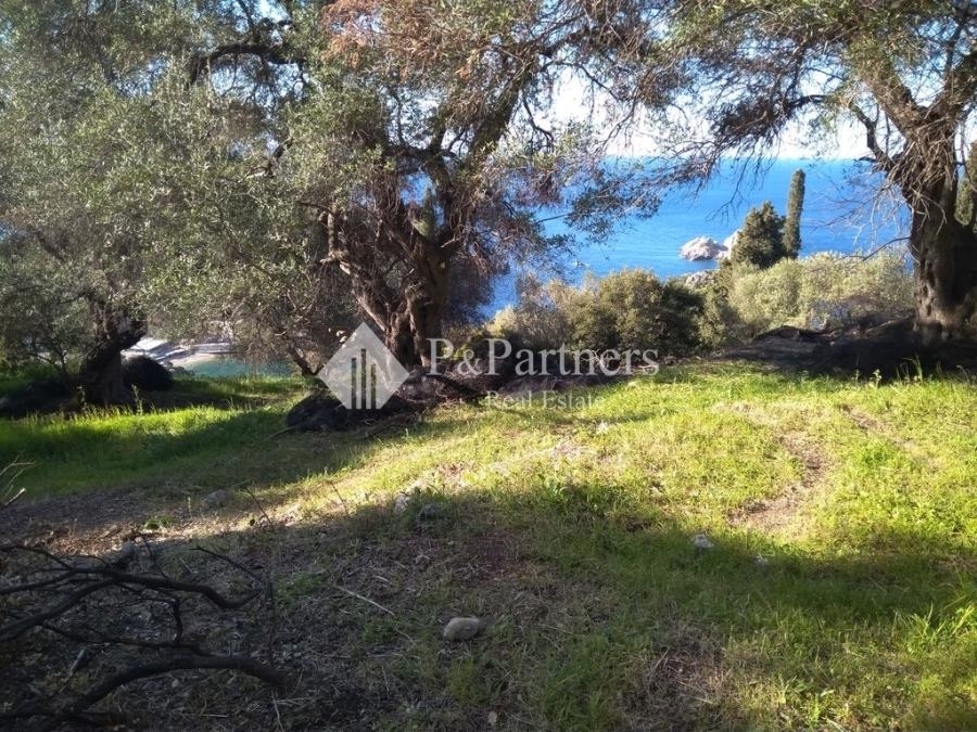 (For Sale) Land Plot || Corfu (Kerkira)/Palaiokastritsa - 4.728 Sq.m, 250.000€ 