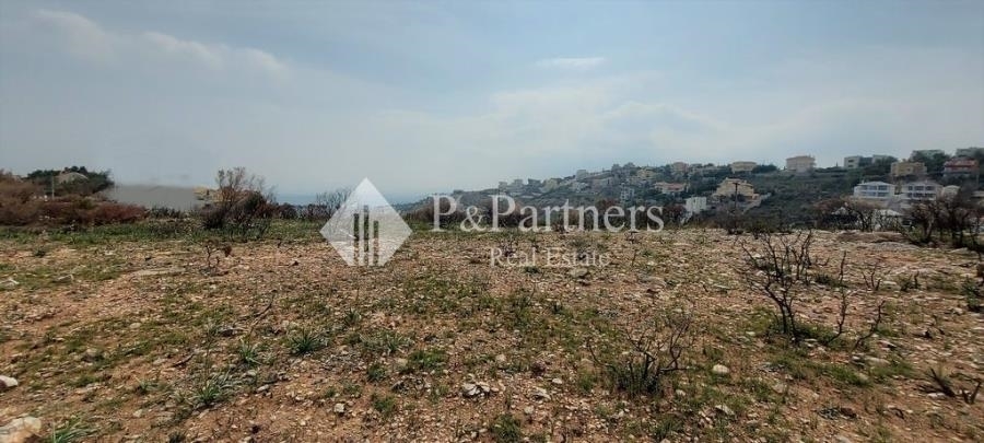 (For Sale) Land Plot || East Attica/Pikermi - 1.365 Sq.m, 370.000€ 