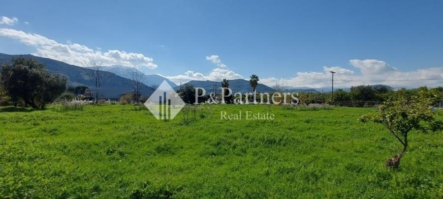 (For Sale) Land Agricultural Land  || Achaia/Aigio - 4.103 Sq.m, 150.000€ 