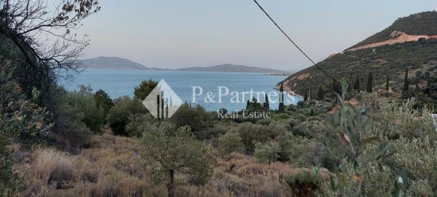 (Προς Πώληση) Αξιοποιήσιμη Γη Οικόπεδο || Πειραιάς/Τροιζηνία - 4.088 τ.μ, 145.000€ 