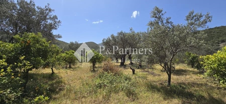 (For Sale) Land Plot || Piraias/Troizinia - 6.932 Sq.m, 105.000€ 