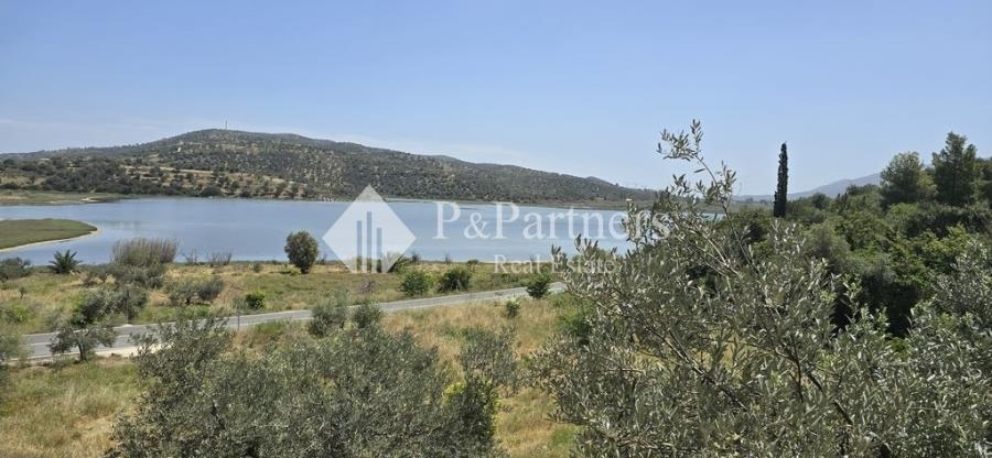 (For Sale) Land Plot || Piraias/Troizinia - 3.857 Sq.m, 114.000€ 