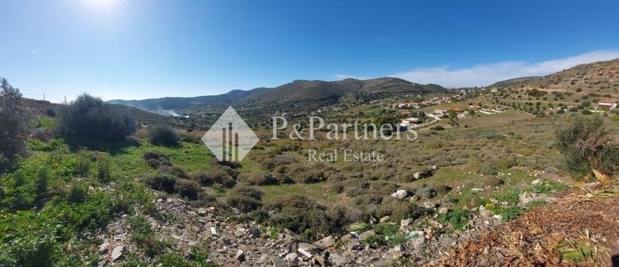 (Προς Πώληση) Αξιοποιήσιμη Γη Αγροτεμάχιο || Ανατολική Αττική/Κερατέα - 12.500 τ.μ, 180.000€ 