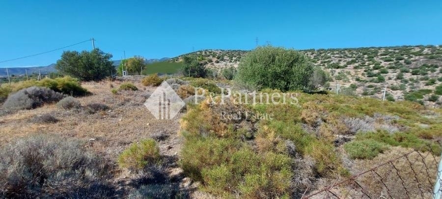 (For Sale) Land Agricultural Land  || East Attica/Koropi - 1.292 Sq.m, 40.000€ 