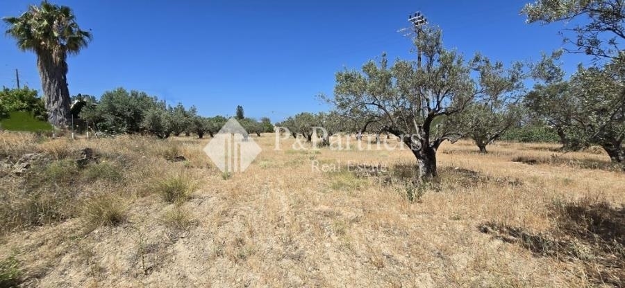 (For Sale) Land Plot || Piraias/Aigina - 5.546 Sq.m, 700.000€ 