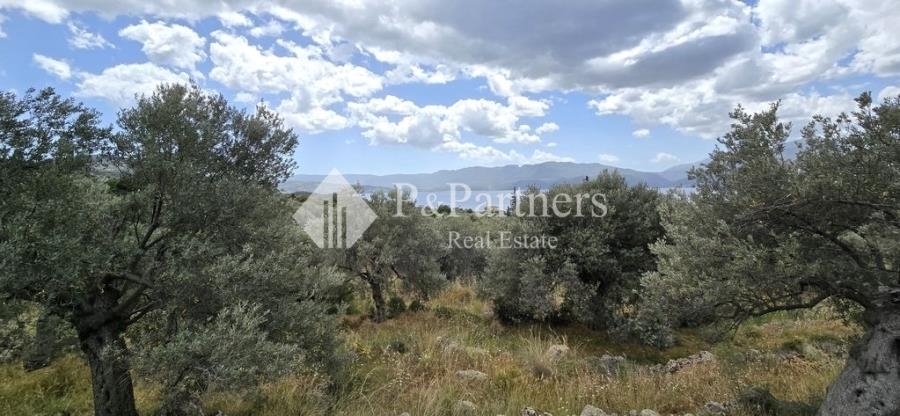 (For Sale) Land Plot || Piraias/Methana - 4.712 Sq.m, 170.000€ 