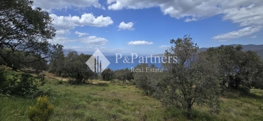 (For Sale) Land Plot || Piraias/Troizinia - 5.848 Sq.m, 145.000€ 