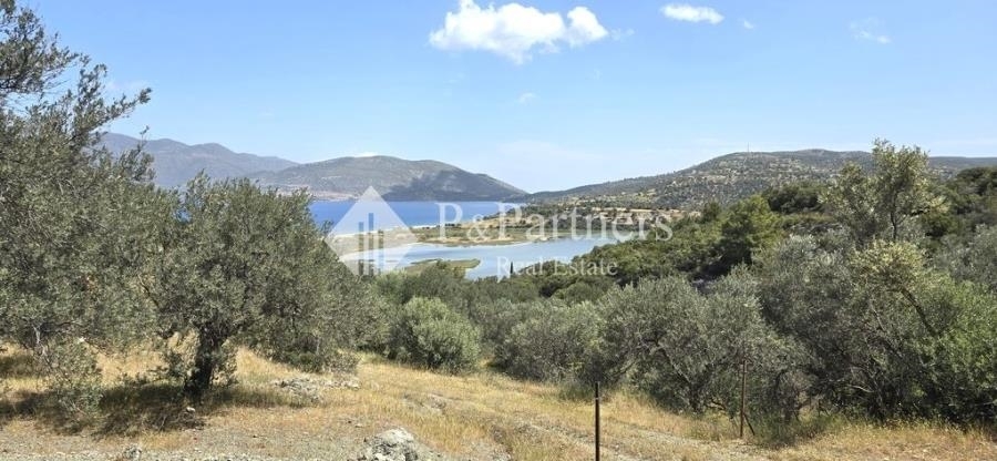 (For Sale) Land Plot || Piraias/Troizinia - 6.787 Sq.m, 100.000€ 