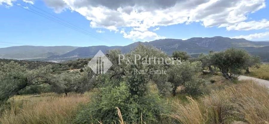 (Προς Πώληση) Αξιοποιήσιμη Γη Οικόπεδο || Πειραιάς/Τροιζηνία - 2.986 τ.μ, 45.000€ 