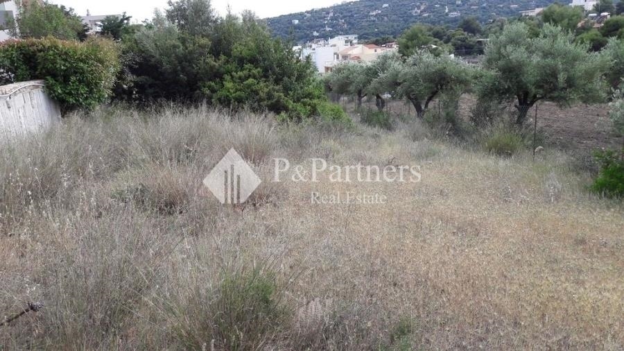 (For Sale) Land Plot || East Attica/Rafina - 470 Sq.m, 140.000€ 