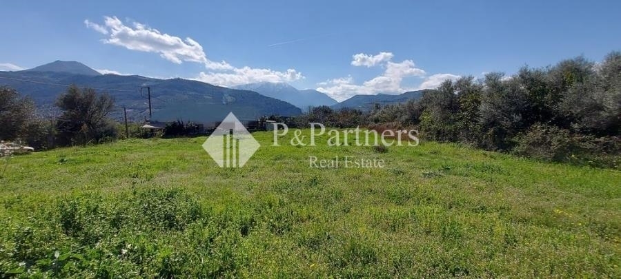 (For Sale) Land Plot || Achaia/Aigio - 2.555 Sq.m, 180.000€ 