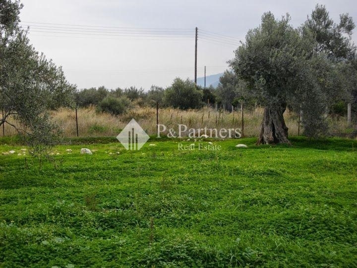 (For Sale) Land Plot || Korinthia/Korinthia - 5.150 Sq.m, 770.000€ 