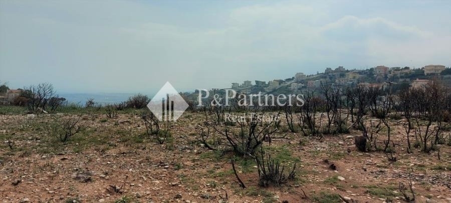 (Προς Πώληση) Αξιοποιήσιμη Γη Οικόπεδο || Ανατολική Αττική/Πικέρμι - 1.365 τ.μ, 340.000€ 