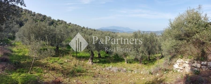 (Προς Πώληση) Αξιοποιήσιμη Γη Αγροτεμάχιο || Πειραιάς/Τροιζηνία - 1.794 τ.μ, 25.000€ 