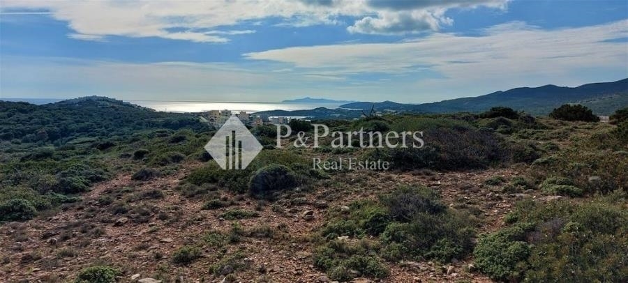 (Προς Πώληση) Αξιοποιήσιμη Γη Οικόπεδο || Ανατολική Αττική/Λαυρεωτική - 21.343 τ.μ, 5.000.000€ 