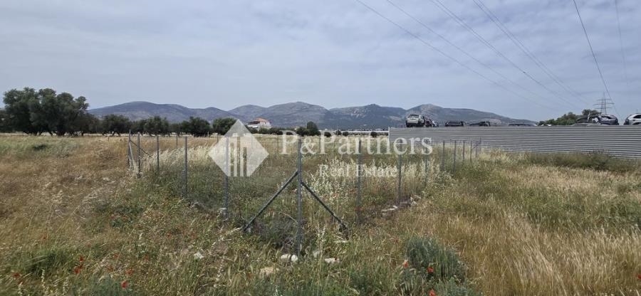 (For Sale) Land Agricultural Land  || East Attica/Acharnes (Menidi) - 180 Sq.m, 15.000€ 