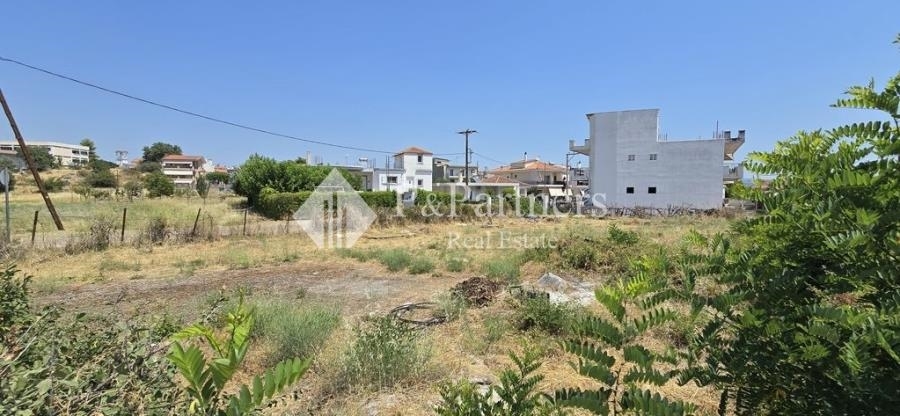 (Προς Πώληση) Αξιοποιήσιμη Γη Οικόπεδο || Ν. Βοιωτίας/Αλίαρτος - 847 τ.μ, 70.000€ 