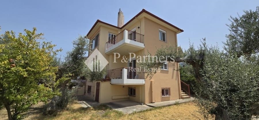 (Προς Πώληση) Κατοικία Μονοκατοικία || Ν. Αχαϊας/Ρίο - 324 τ.μ, 4 Υ/Δ, 400.000€ 