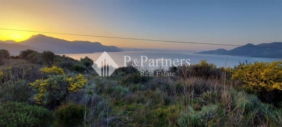 (For Sale) Land Plot || Piraias/Troizinia - 7.180 Sq.m, 135.000€ 