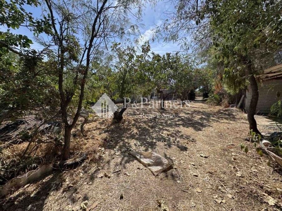 (For Sale) Land Plot || Piraias/Aigina - 4.300 Sq.m, 520.000€ 