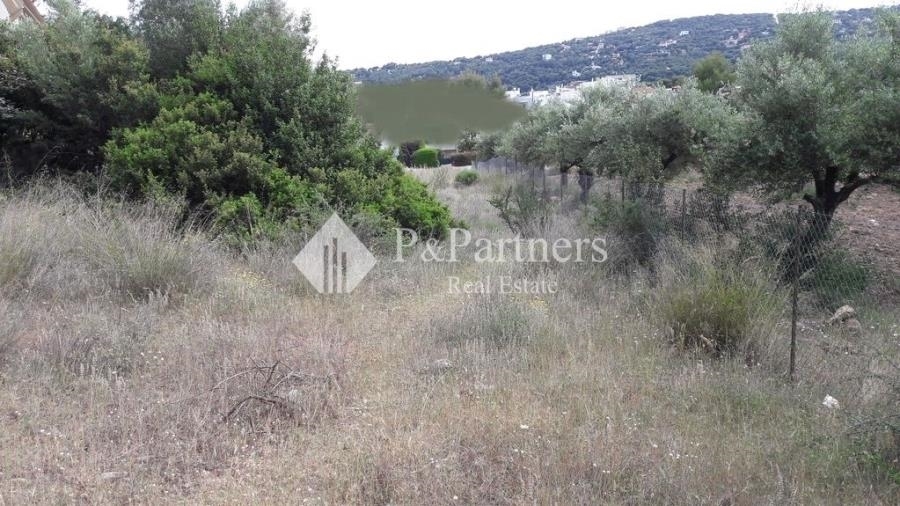 (For Sale) Land Plot || East Attica/Rafina - 470 Sq.m, 140.000€ 