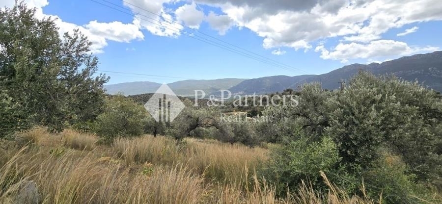 (Προς Πώληση) Αξιοποιήσιμη Γη Οικόπεδο || Πειραιάς/Τροιζηνία - 2.986 τ.μ, 45.000€ 