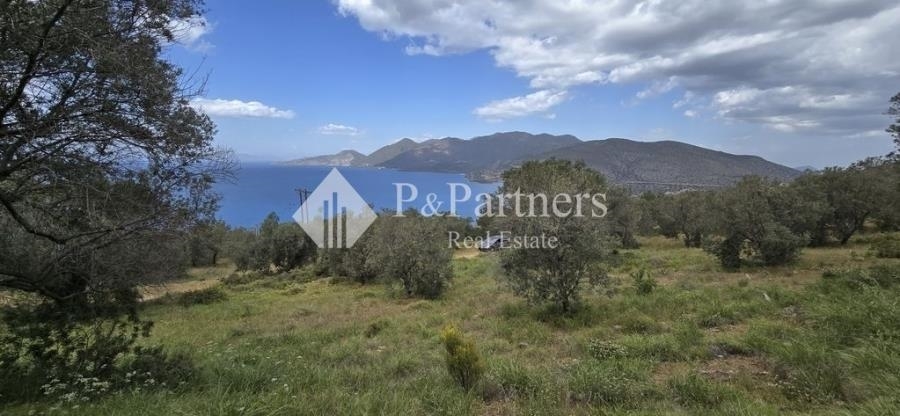 (Προς Πώληση) Αξιοποιήσιμη Γη Οικόπεδο || Πειραιάς/Τροιζηνία - 5.848 τ.μ, 145.000€ 