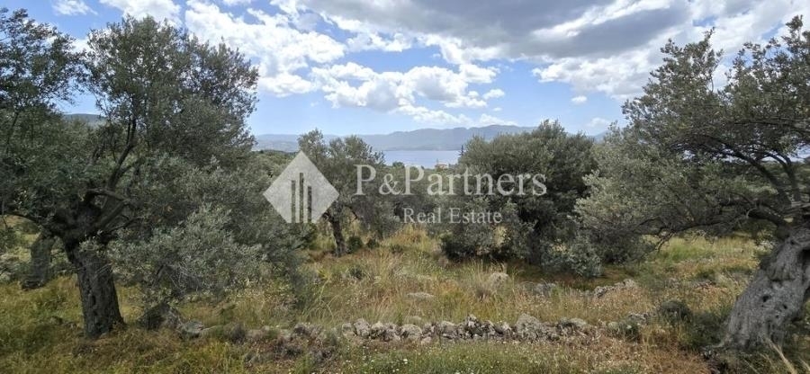 (For Sale) Land Plot || Piraias/Methana - 4.712 Sq.m, 170.000€ 