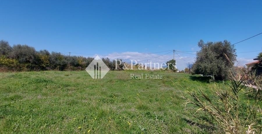 (For Sale) Land Plot || Achaia/Aigio - 2.555 Sq.m, 180.000€ 