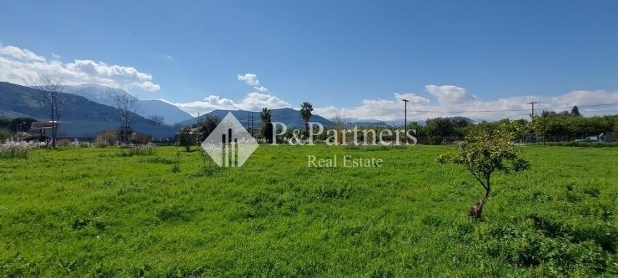 (For Sale) Land Plot || Achaia/Aigio - 4.103 Sq.m, 110.000€ 