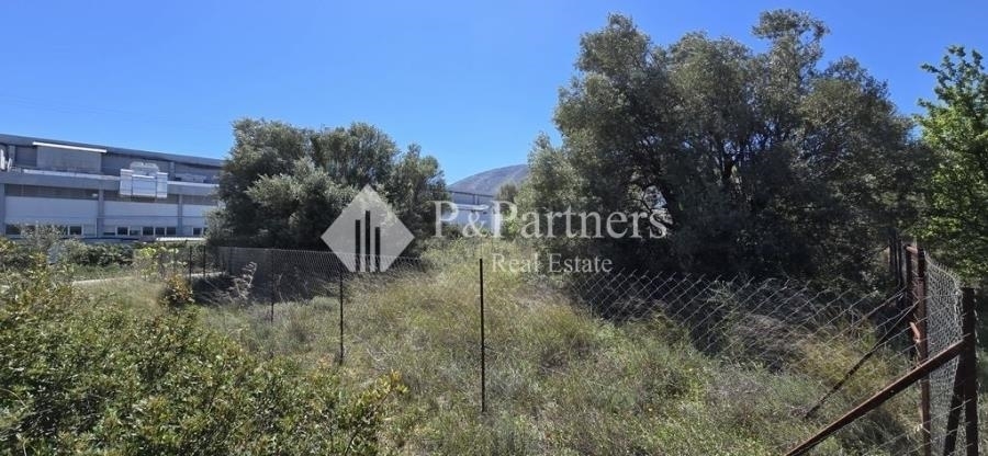 (For Sale) Land Plot || East Attica/Paiania - 492 Sq.m, 190.000€ 