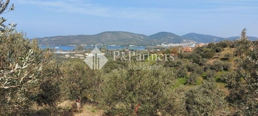 (For Sale) Land Agricultural Land  || Piraias/Troizinia - 3.310 Sq.m, 33.000€ 