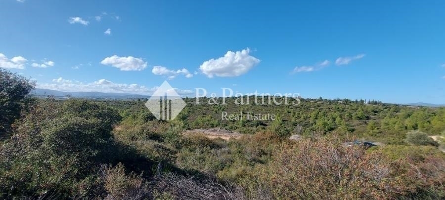(For Sale) Land Plot || Voiotia/Tanagra - 990 Sq.m, 24.000€ 