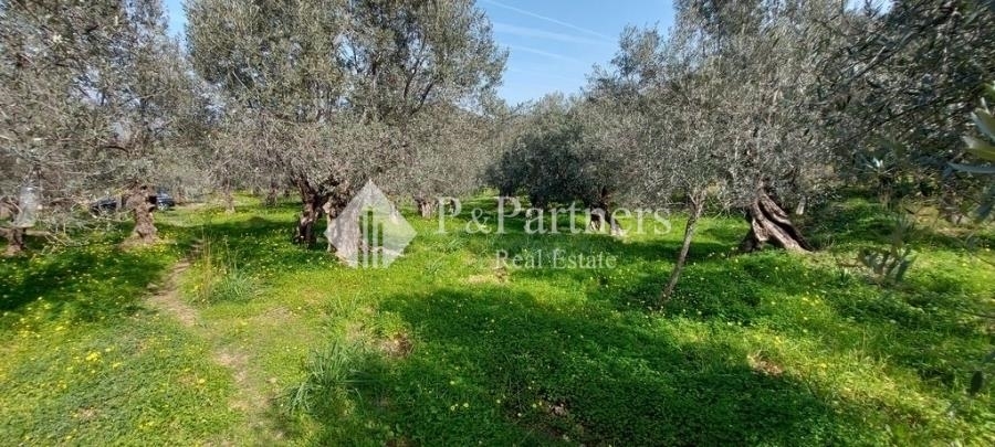 (For Sale) Land Agricultural Land  || Piraias/Troizinia - 1.794 Sq.m, 25.000€ 