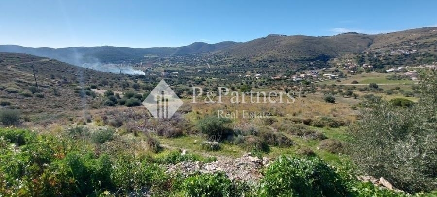 (For Sale) Land Agricultural Land  || East Attica/Keratea - 12.500 Sq.m, 180.000€ 