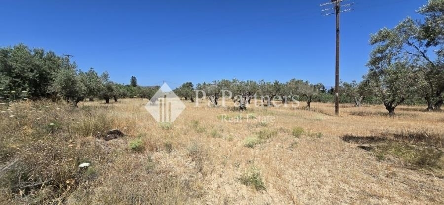 (For Sale) Land Plot || Piraias/Aigina - 5.546 Sq.m, 700.000€ 