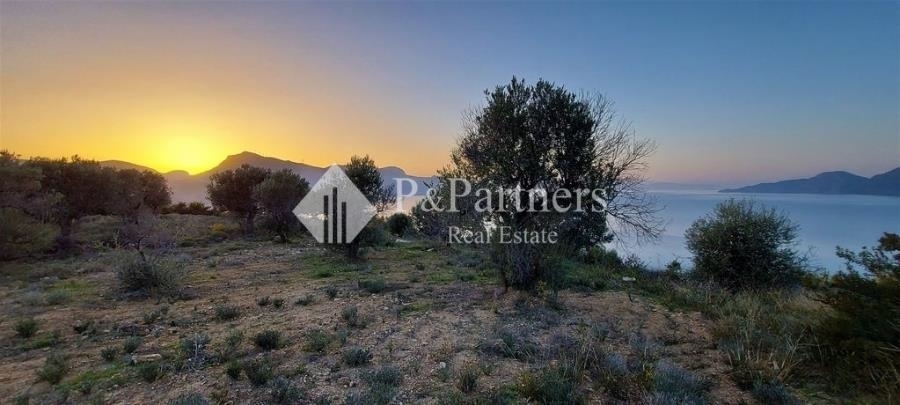 (For Sale) Land Plot || Piraias/Troizinia - 11.980 Sq.m, 270.000€ 