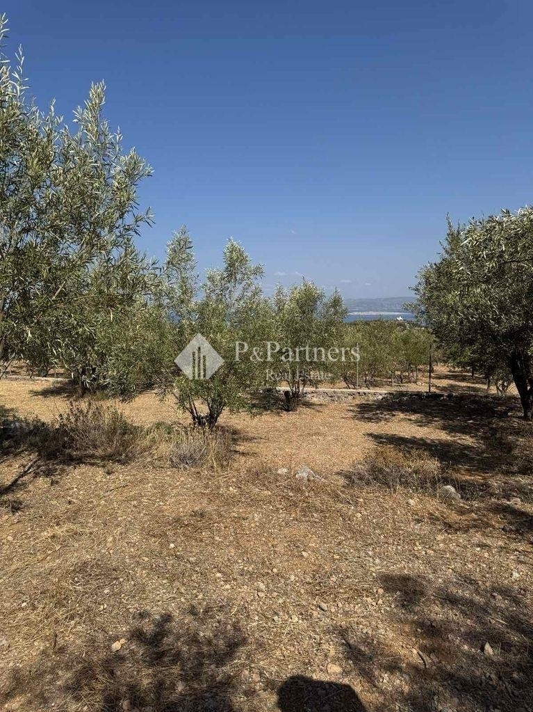 (For Sale) Land Plot || Piraias/Aigina - 646 Sq.m, 63.000€ 