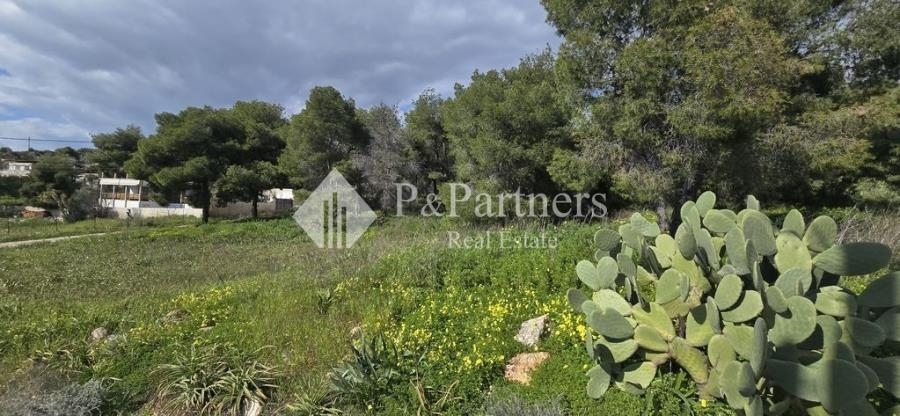 (For Sale) Land Agricultural Land  || Piraias/Salamina - 1.236 Sq.m, 30.000€ 