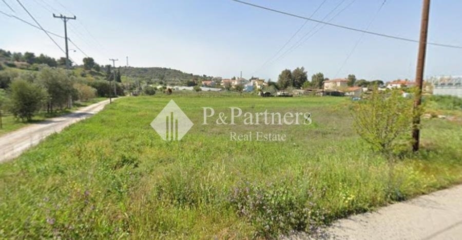 (For Sale) Land Plot || East Attica/Skala Oropou - 1.734 Sq.m, 120.000€ 