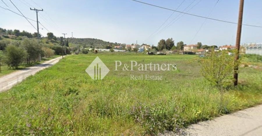 (For Sale) Land Plot || East Attica/Skala Oropou - 1.734 Sq.m, 140.000€ 