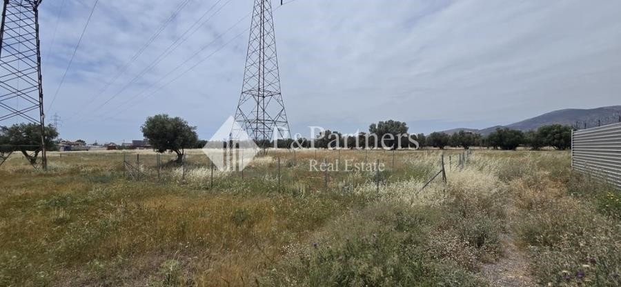 (For Sale) Land Agricultural Land  || East Attica/Acharnes (Menidi) - 180 Sq.m, 15.000€ 