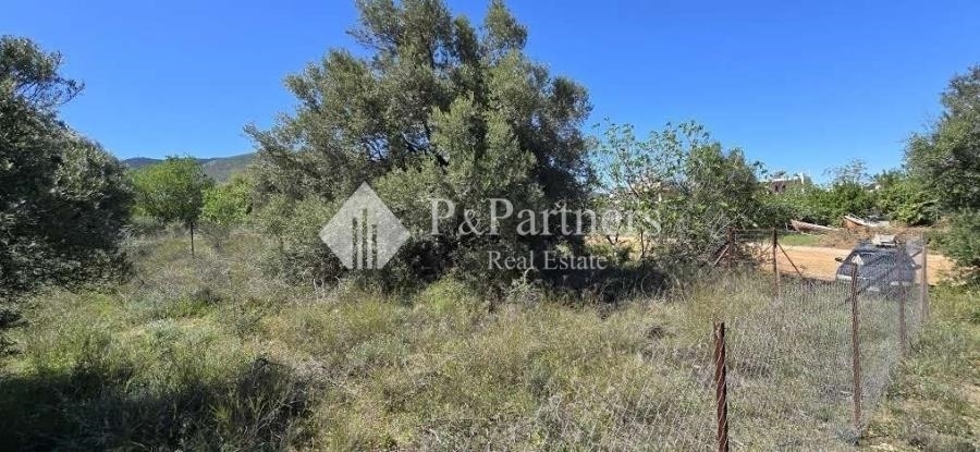(Προς Πώληση) Αξιοποιήσιμη Γη Οικόπεδο || Ανατολική Αττική/Παιανία - 492 τ.μ, 130.000€ 