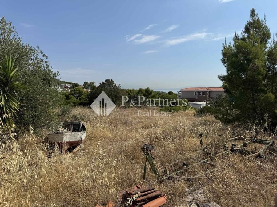 (Προς Πώληση) Αξιοποιήσιμη Γη Οικόπεδο || Πειραιάς/Αίγινα - 763 τ.μ, 75.000€ 