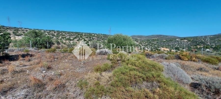 (For Sale) Land Agricultural Land  || East Attica/Koropi - 1.292 Sq.m, 40.000€ 