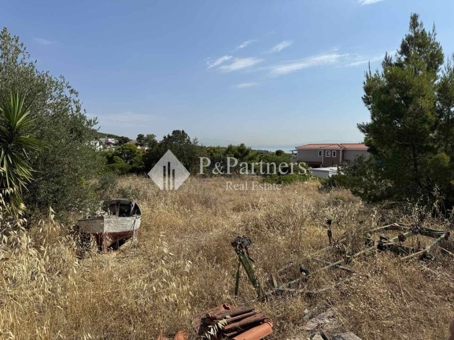(For Sale) Land Plot || Piraias/Aigina - 763 Sq.m, 75.000€ 