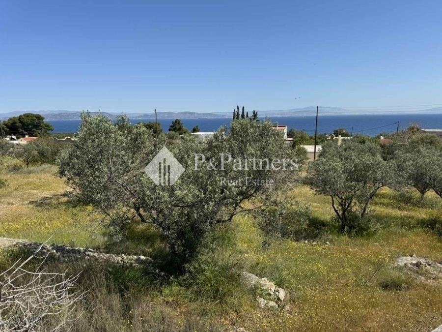 (For Sale) Land Plot || Piraias/Aigina - 3.600 Sq.m, 180.000€ 