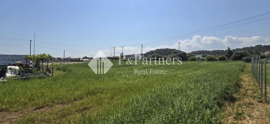 (For Sale) Land Plot || East Attica/Skala Oropou - 1.734 Sq.m, 140.000€ 