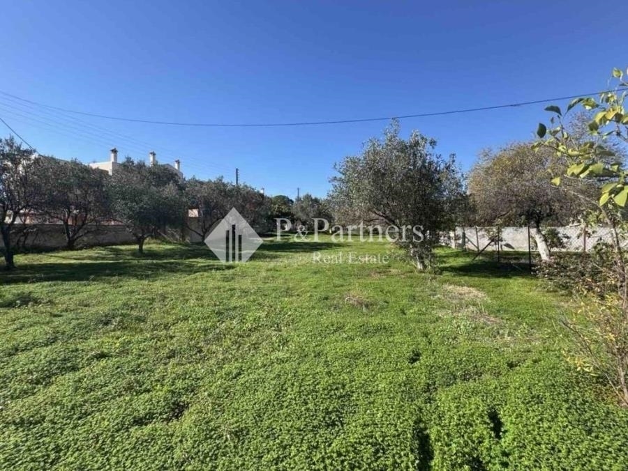 (For Sale) Land Plot || Piraias/Aigina - 865 Sq.m, 110.000€ 