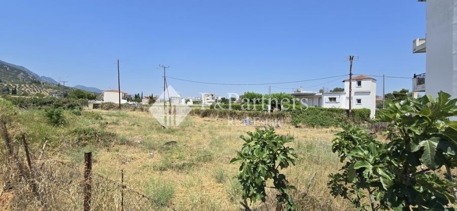 (For Sale) Land Plot || Voiotia/Aliartos - 847 Sq.m, 70.000€ 